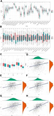 Clustering and machine learning-based integration identify cancer associated fibroblasts genes’ signature in head and neck squamous cell carcinoma